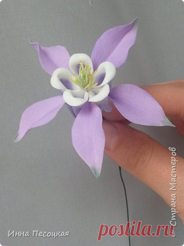Мастер-класс 