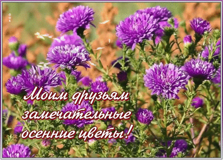 Открытка с цветами для моих друзей