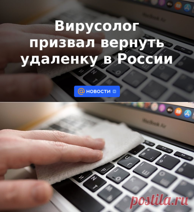 Вирусолог призвал вернуть удаленку в России - 30 августа 2022 | Новости Mail.ru