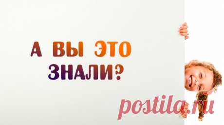 А вы это знали? Интересные факты