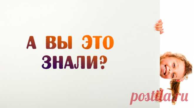 А вы это знали? Интересные факты