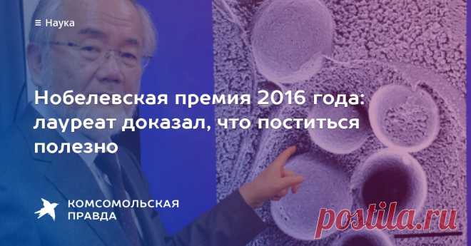 Нобелевская премия 2016 года: лауреат доказал, что поститься полезно Ёсинори Осуми - специалист по клеточной биологии из Японии - стал Нобелевским лауреатом в области физиологии и медицины