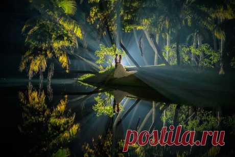 17 лучших свадебных фото со всего мира | Приколисты в картинках