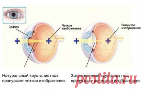 Новости - МирТесен