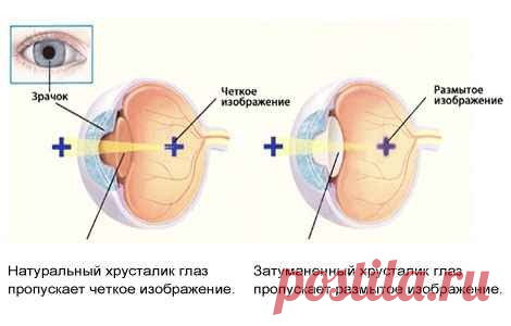 Новости - МирТесен
