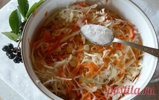 Как правильно квасить капусту: в собственном соку и без добавления рассола! Простой способ.