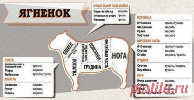 Шпаргалка для кухни