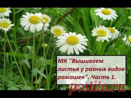 МК. Вышиваем листики у разных видов ромашек. Часть 1.