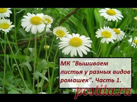 МК. Вышиваем листики у разных видов ромашек. Часть 1.
