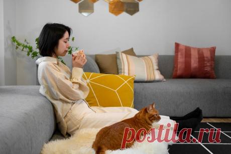 Как приучить кота перестать метить?
Мочеиспускание кота вне туалета может быть сигнальным поведением, когда они чувствуют необходимость обозначить свою территорию. Однако у котов, мочащихся вне туалета, могут быть как основные медицинские заболевания, так и экологические причины.
Изображение от Freepik