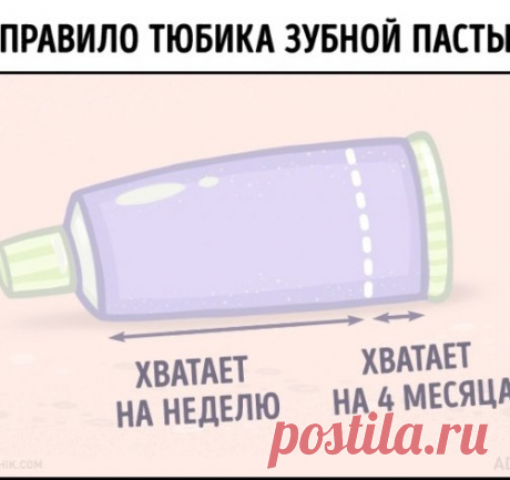 15 домашних правил, которые знакомы каждому