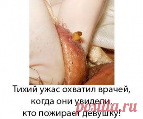 Создать огненный текст, создать горящий текст, анимированный горящий текст