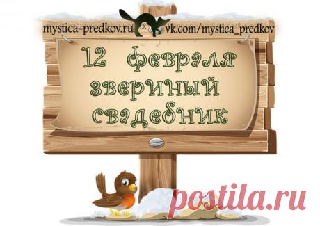 Дневник lkrasnoperka