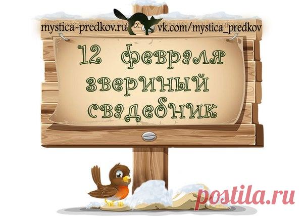 Дневник lkrasnoperka