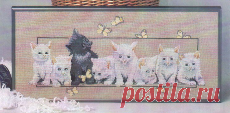 Котятки