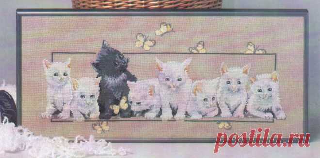 Котятки
