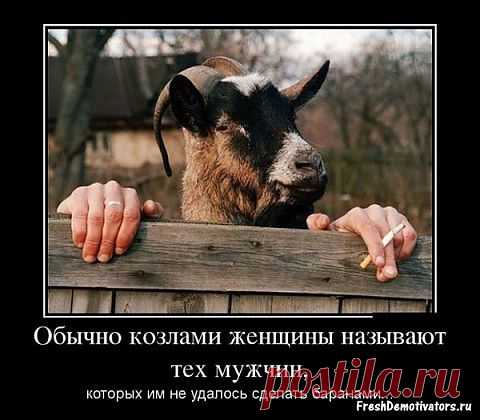 ПРАВДА ЖИЗНИ...