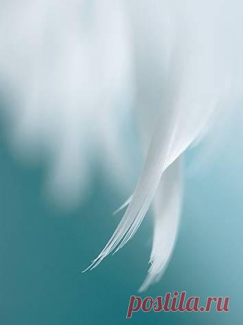 Не так страшны мужская ярость и ревность, 
как женское чувство благодарности и вины.

Алмат Малатов