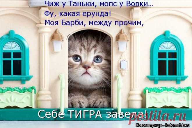 Котоматрица: Круть