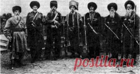 В 1894 году численность терских казаков составляла 162 тысяч челов / Историческая справка