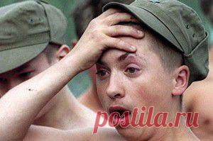 5 секретов хорошего урожая моркови | Огород без хлопот