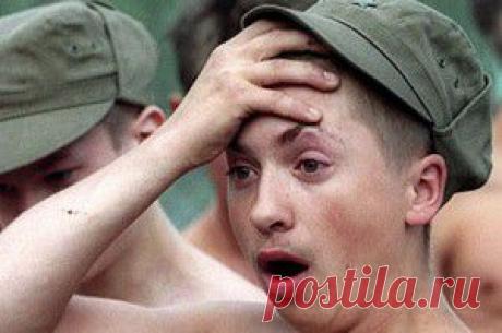 5 секретов хорошего урожая моркови | Огород без хлопот