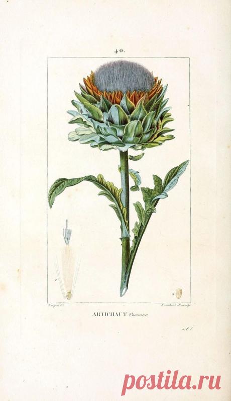 Найдено на сайте vintageprintable.com.