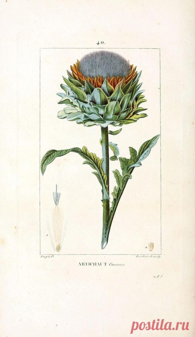 Найдено на сайте vintageprintable.com.