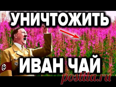 Зачем Гитлер уничтожил фабрику Иван Чая в СССР . История о которой вряд ли напишут в учебниках