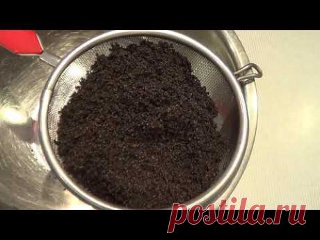 Астильба из семян. Сезон 2. Посев. Работа над ошибками.