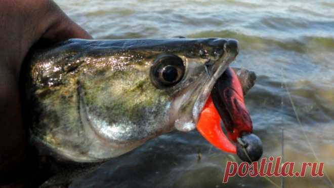 Виброхвост Relax Kopyto