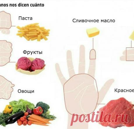 Сколько еды нужно съедать каждый день!