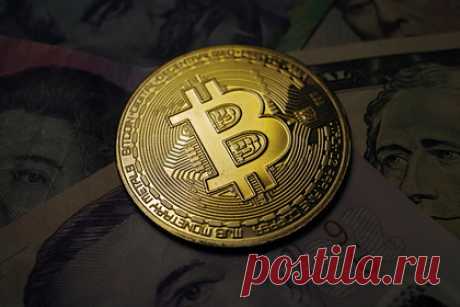 Биткоин побил исторический рекорд. Курс биткоина 20 октября достиг 65 566 долларов, свидетельствуют данные CoinGecko. Стоимость самой популярной криптовалюты мира, таким образом, побила исторический рекорд, установленный в апреле — 64,8 тысячи долларов.