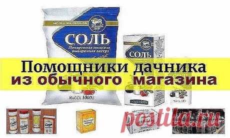 (48) Одноклассники