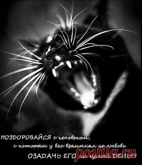 Поздоровайся...не любовь...озадачь...