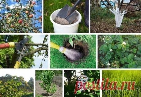 Обработка сада