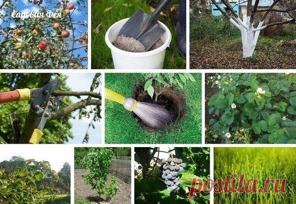 Обработка сада