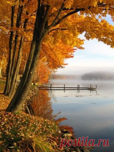 Beautiful Mother Nature