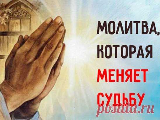 Молитва святому Николаю Чудотворцу, которая изменит судьбу!
Не все верят в чудо и силу молитвы, но если возникают непреодолимые жизненные трудности, остается только молиться. В моей семье особо почитался святой Николай, потому что так звали отца. Знаю с детства образ этого приятного старца, его лицо кажется таким добрым и всё понимающим.
Святой Николай Чудотворец слышит молитвы миллионов верующих и является посредником между обычными людьми и Всевышним. Он способен помочь излечить серьезную боле