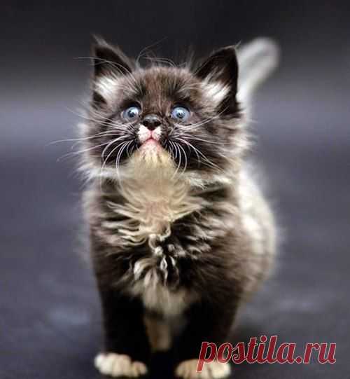 Светлана Светлякова