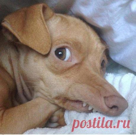 Мой Мир@Mail.Ru
