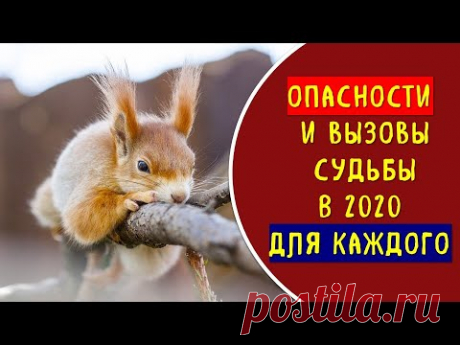 Какие опасности подстерегают МНОГИХ в 2020 году @Эзотерика для Тебя: Гороскопы. Ритуалы. Советы.