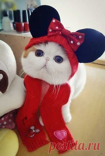 Скоро карнавал