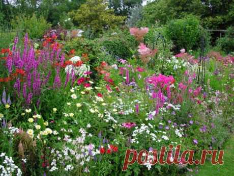 9 фаворитов для пейзажных миксбордеров. Бузульник, Вербейник, Ирис, Лапчатка, Мак, Медуница, Посконник, Хоста, Ясенец. Фото - Ботаничка.ru