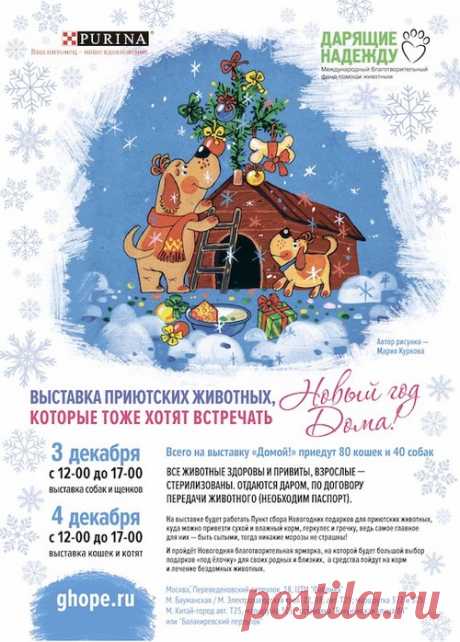 О ВЫСТАВКЕ