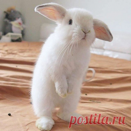Photo by Lori T. Dean 🐰 on October 09, 2020. Нет описания фото..