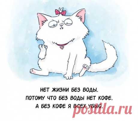 Из чего состоите Вы?