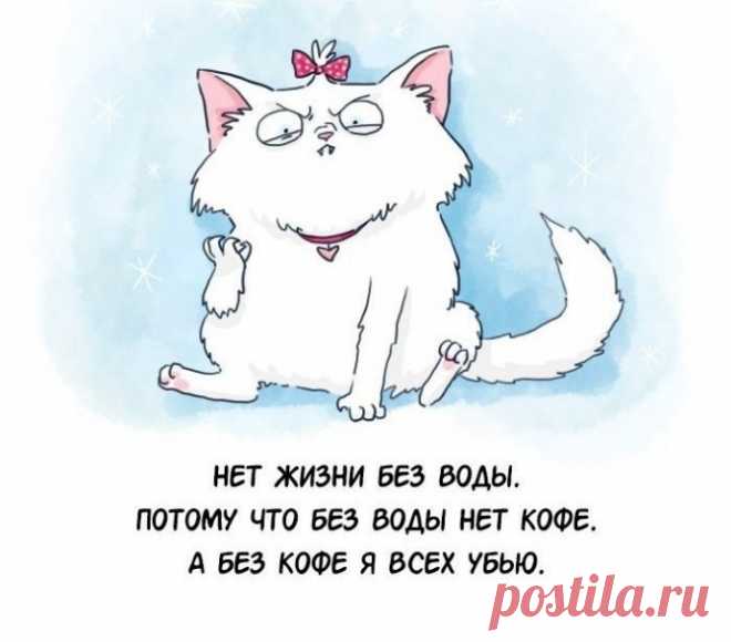 Из чего состоите Вы?