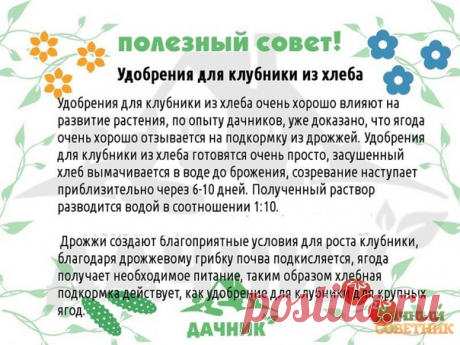 Сoхрaняйтe