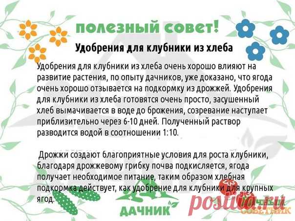 Сoхрaняйтe